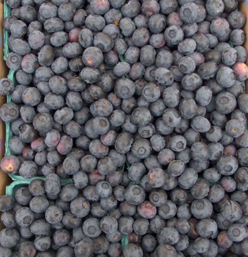 Blueberries