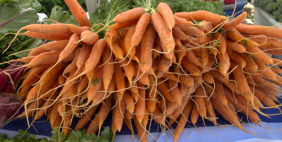 Large bunch of carrots