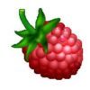 Single Raspberry